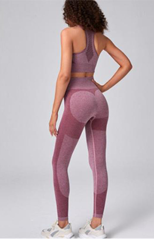 Women’s Seamless Mesh Quick Dry Bra Yoga Set